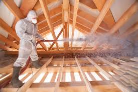 Best Eco-Friendly or Green Insulation Solutions  in Mino Tassajara, CA